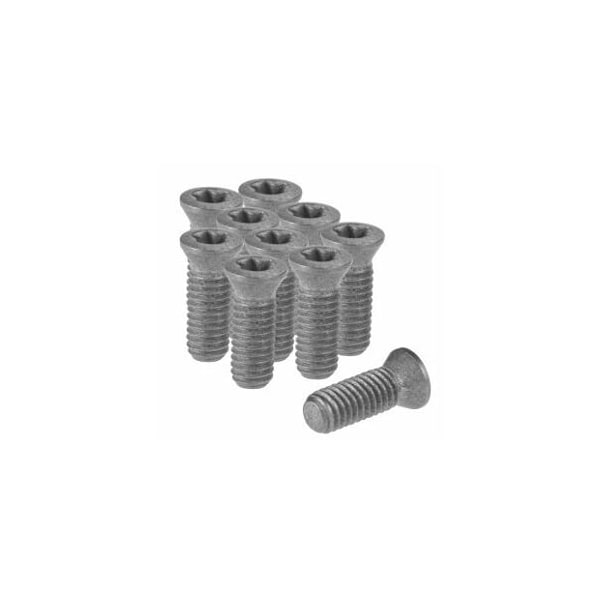 Garant TX30 Torx screws for 361100, 10 Pieces 361164 1 - main